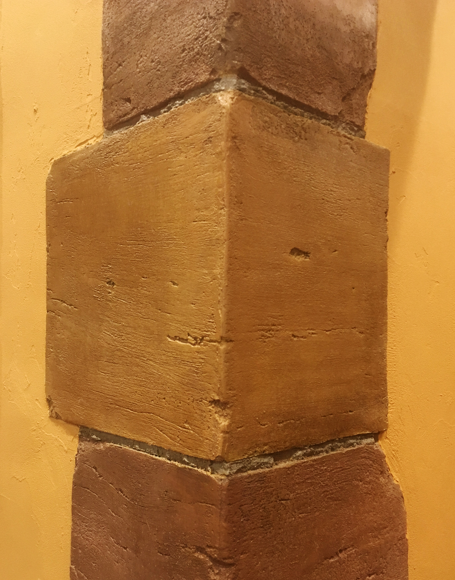 セルノードゥノワ